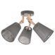 Потолочный светильник VAIO GREY 658 TK-LIGHTING 658 фото 1