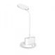 LED настольная лампа с аккумулятором TITANUM 6W 2700-6000K TLTF-011W TLTF-011W фото 6