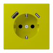Розетка JUNG с заземлением и USB AC, цвет ярко-оливковый 250V/16A LC1520-15CA249 фото