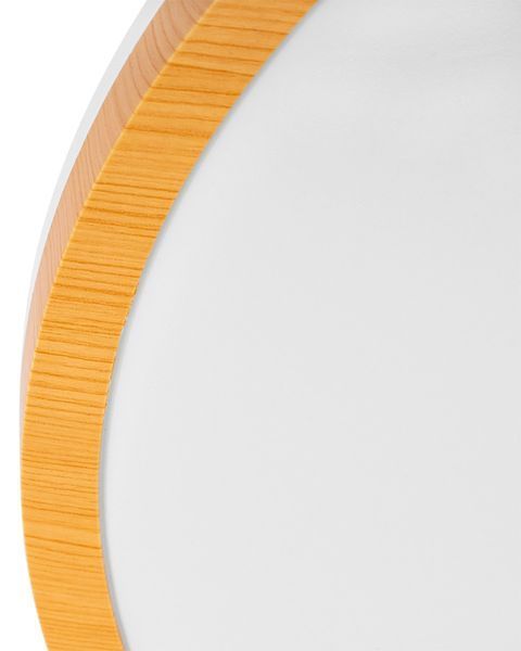Потолочный светильник Goldlux Woody 30 15W 1600lm 4000K 319005 319005 фото