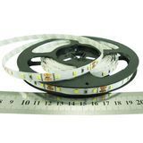 Світлодіодна стрічка 2835 60 LED/м 12В холодний білий 6500К IP33 7596 7596 фото