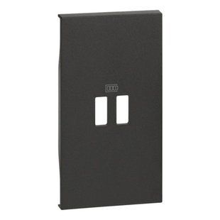 Лицевая панель для зарядных устройств USB 2 модуля. Цвет Черный. Living now Bticino KG12C KG12C фото