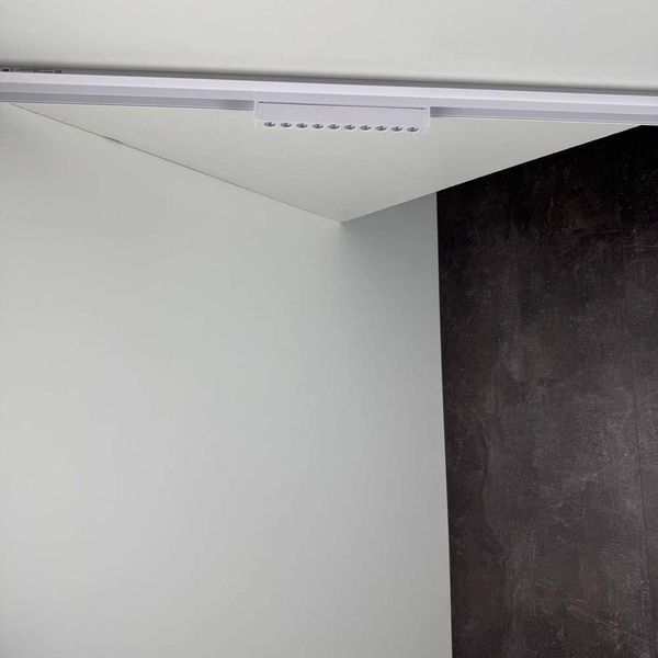 Магнитный трековый светильник Violux UST-GR 12W 48V 4000К белый (320055) 320055 фото