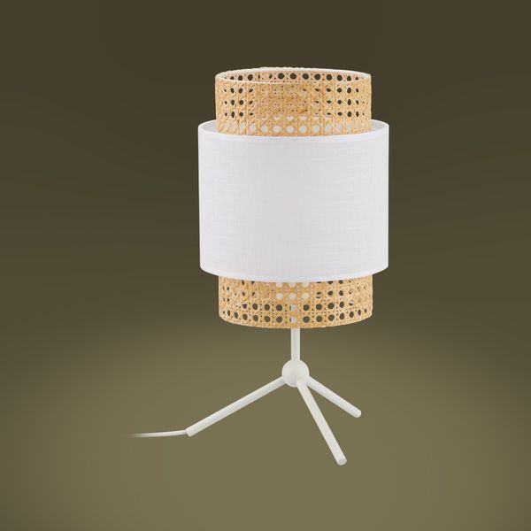 Настільна лампа BOHO 6565 TK-LIGHTING 6565 фото