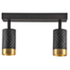 Точковий світильник Goldlux Arras 2xGU10 323545 323545 фото 4