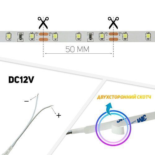 Светодиодная лента BIOM Professional 12V 2835 60LED/m NW, 1м 00-00014497 фото