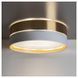 Потолочный светильник HILTON WHITEGOLD 450 4772 TK-LIGHTING 4772 фото 3