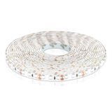 Світлодіодна стрічка OEM ST 12V 2835 120LED/m CW герметична IP65, 1м 00-00014485 фото