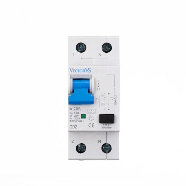 Дифавтомат Vector 6A C 2P 30mA тип A 10kA GDP06C2M030A10 фото