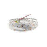 LED стрічка 2835 12В 6500К IP20 холодна 19454 19454 фото
