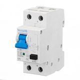 ПЗВ Vector 2P 40A 30mA тип A 10kA для захисту від ураження струмом GRP402P030A10 фото